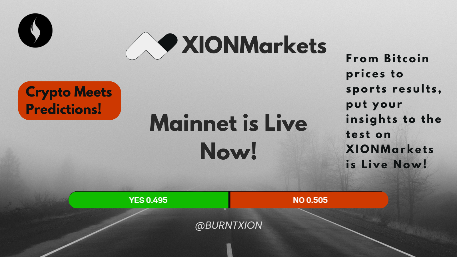 XION Graphic 3