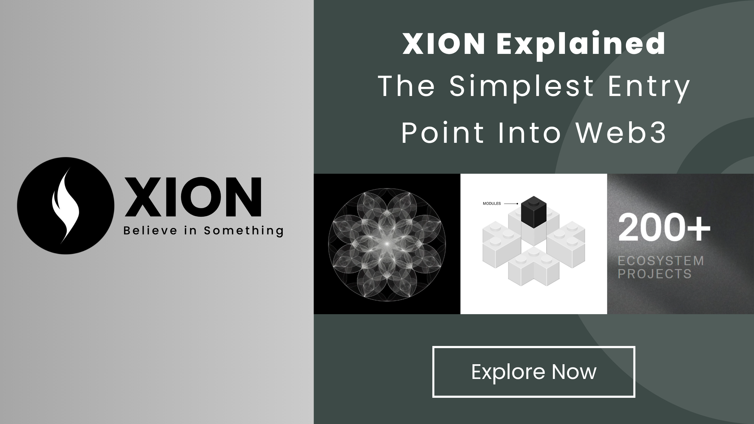 XION Graphic 2